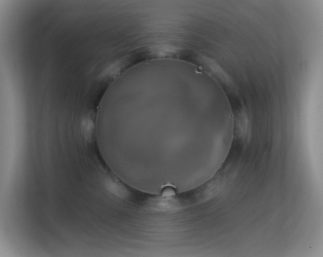 X0000113860427200909241311