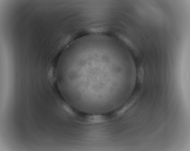 X0000113860428200909241311
