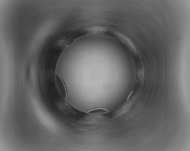 X0000113860429200909241311