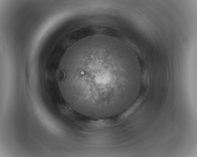 X0000113860430200909241311