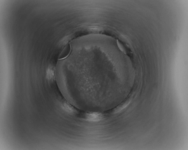 X0000113860432200909241311