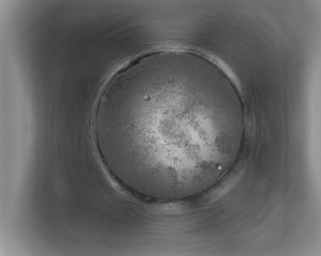 X0000113860433200909241311
