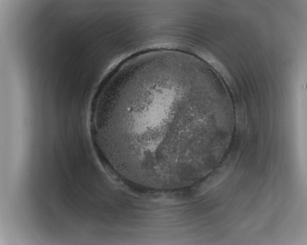 X0000113860434200909241311