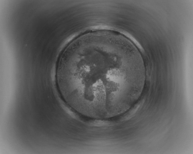 X0000113860437200909241311