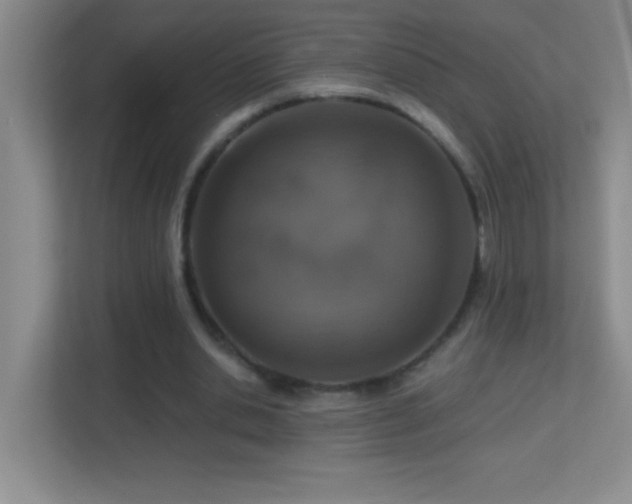 X0000113860438200909241311