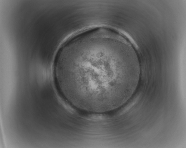 X0000113860439200909241311
