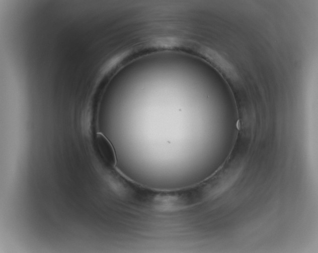 X0000113860440200909241311
