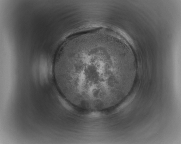 X0000113860441200909241311