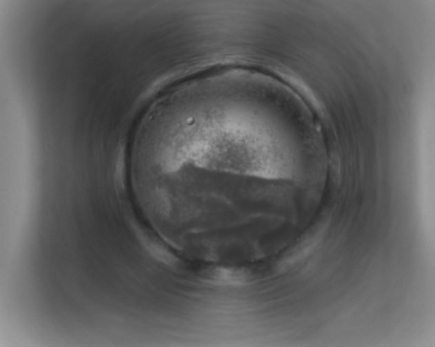X0000113860442200909241311