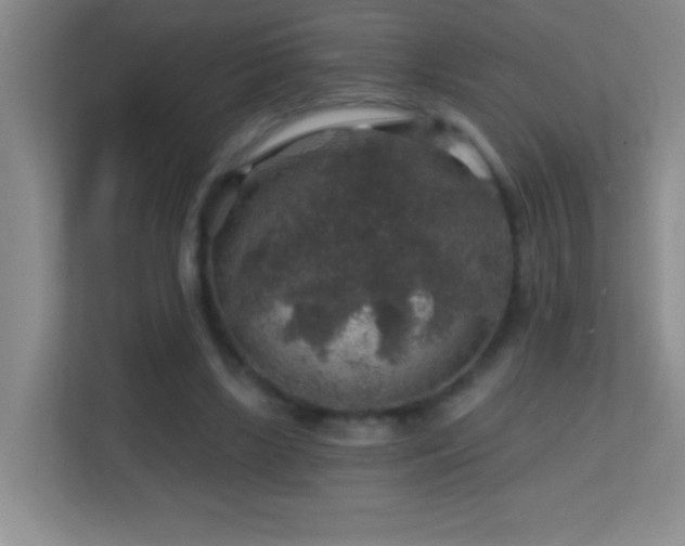 X0000113860443200909241311