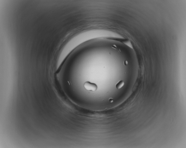 X0000113860444200909241311