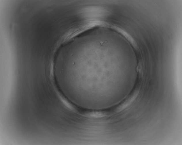 X0000113860445200909241311