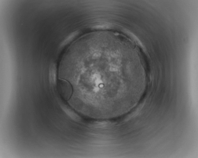 X0000113860446200909241311