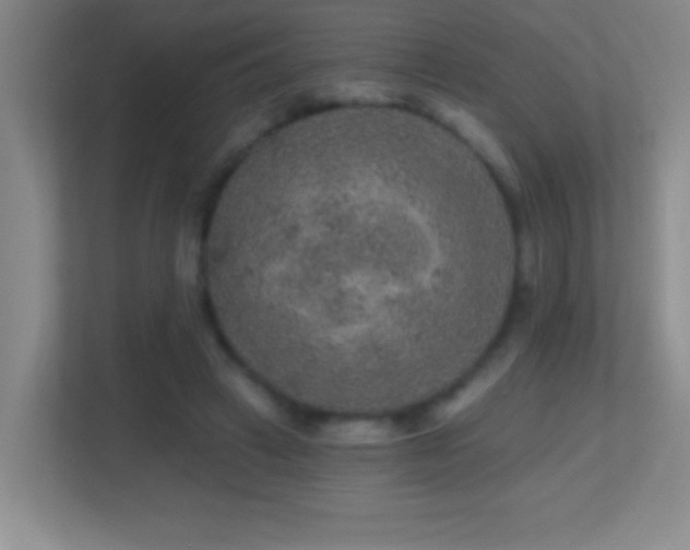 X0000113860449200909241311