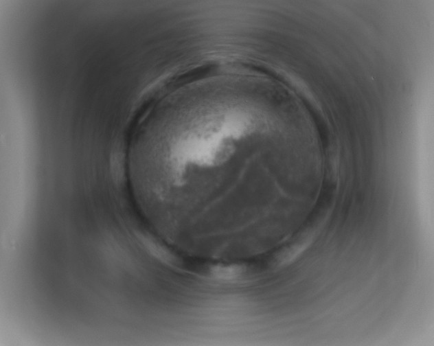 X0000113860450200909241311