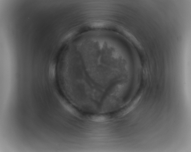 X0000113860454200909241311