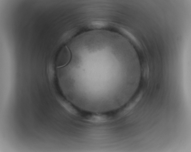 X0000113860455200909241311