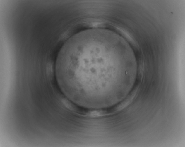 X0000113860461200909241311