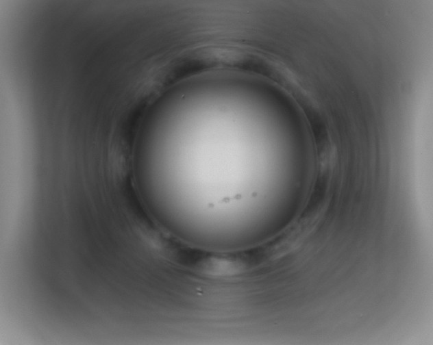X0000113860464200909241311