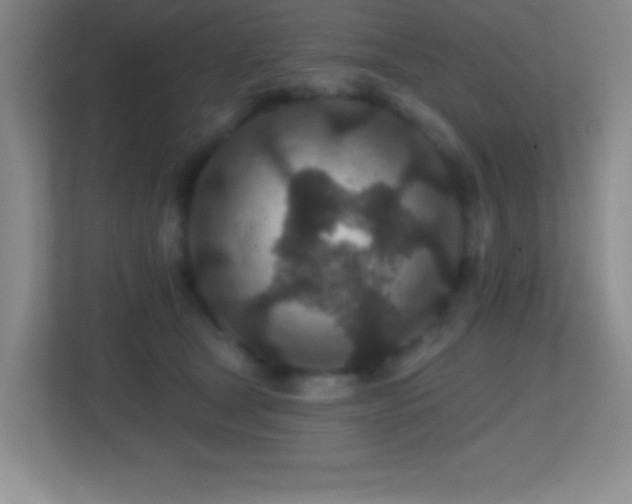 X0000113860465200909241311