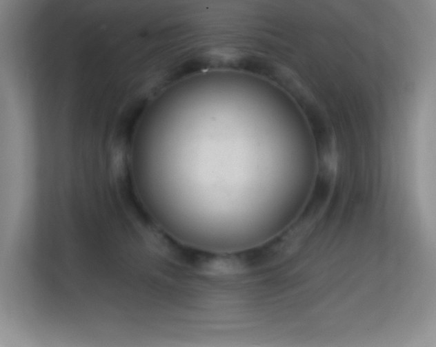 X0000113860468200909241311