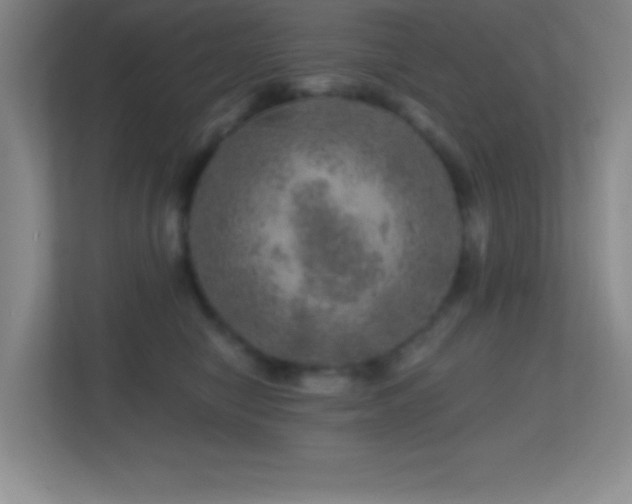 X0000113860470200909241311