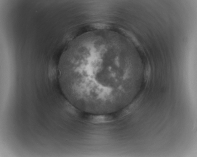X0000113860473200909241311
