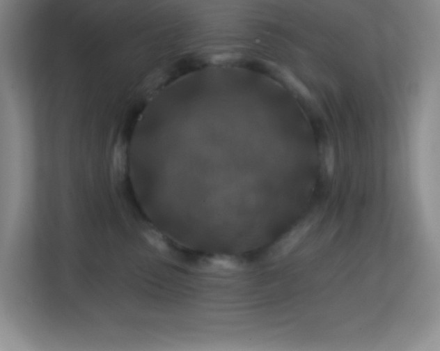 X0000113860475200909241311