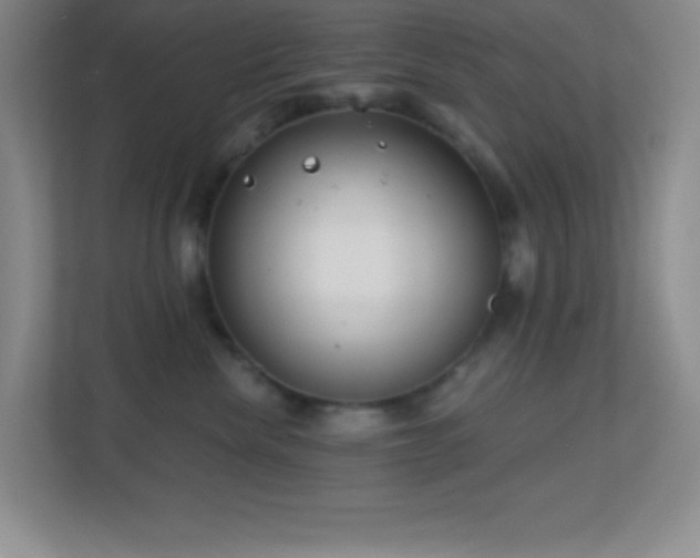 X0000113860476200909241311
