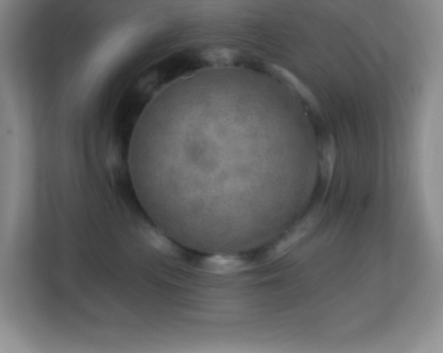 X0000113860477200909241311
