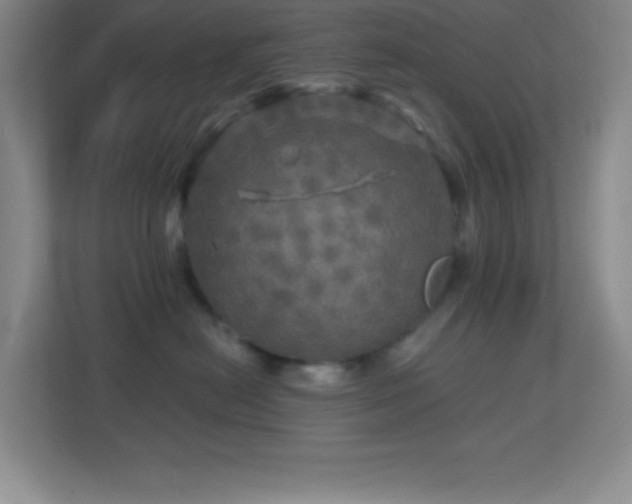 X0000113860478200909241311