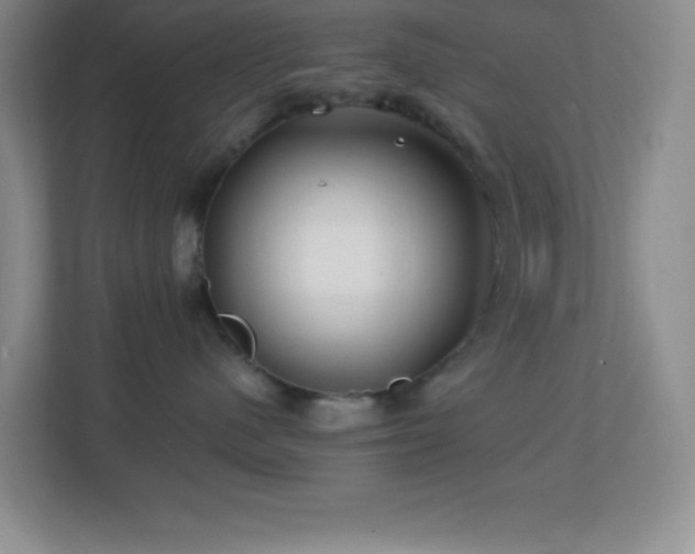 X0000113860480200909241311