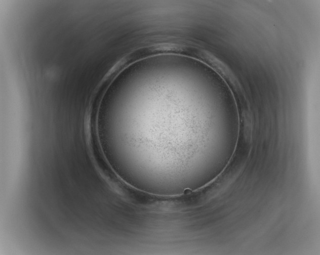 X0000113860482200909241311