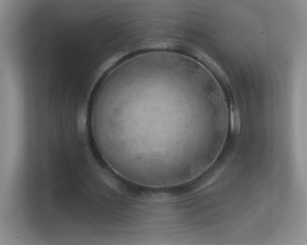 X0000113860483200909241311