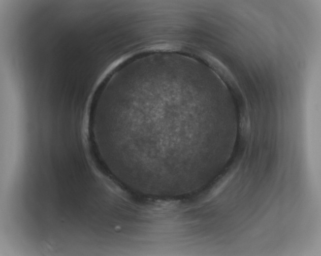 X0000113860484200909241311