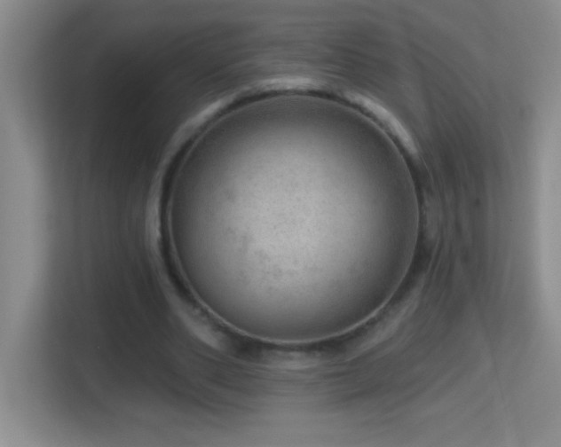 X0000113860486200909241311