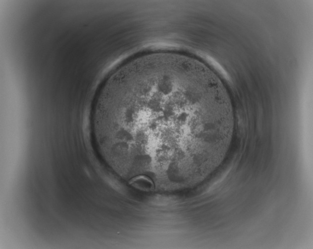 X0000113860487200909241311