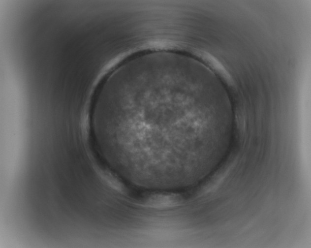 X0000113860488200909241311