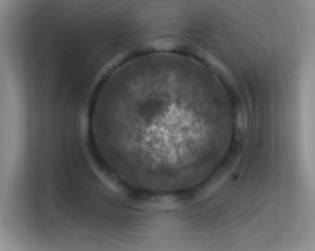 X0000113860492200909241311