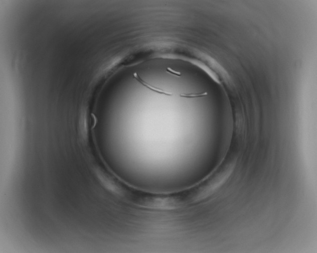 X0000113860493200909241311