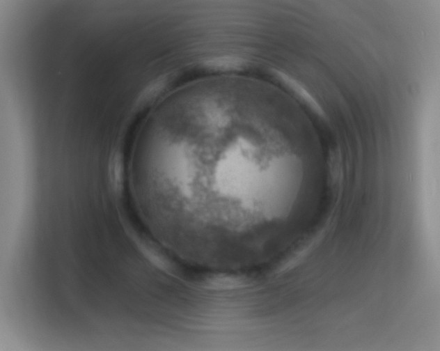X0000113860494200909241311