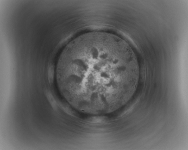 X0000113860495200909241311