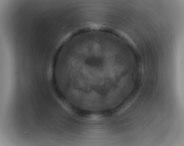 X0000113860496200909241311