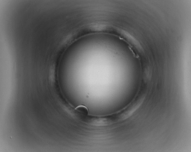 X0000113860497200909241311
