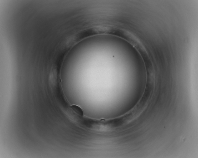 X0000113860498200909241311