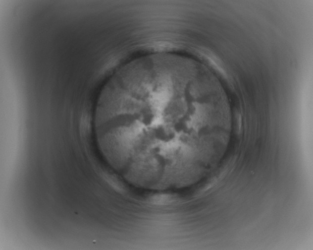 X0000113860499200909241310
