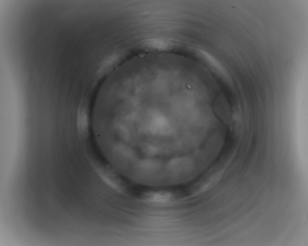 X0000113860500200909241310
