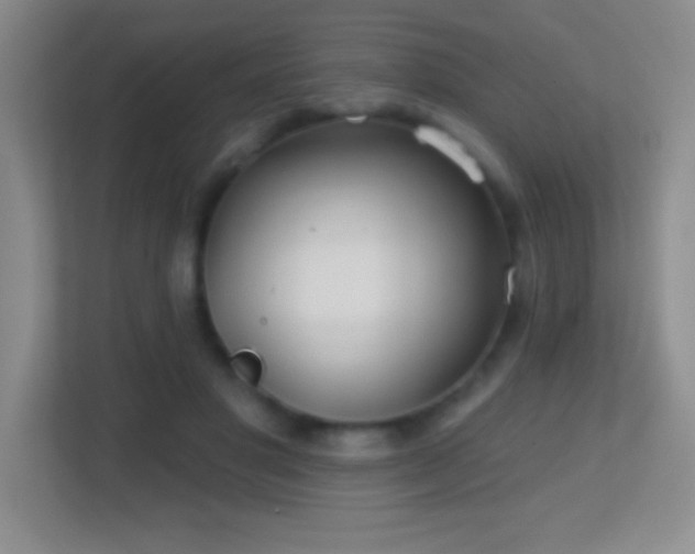 X0000113860501200909241310