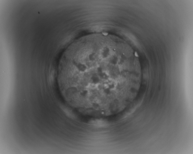 X0000113860503200909241310