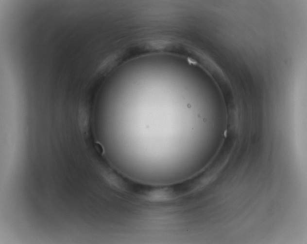 X0000113860505200909241310